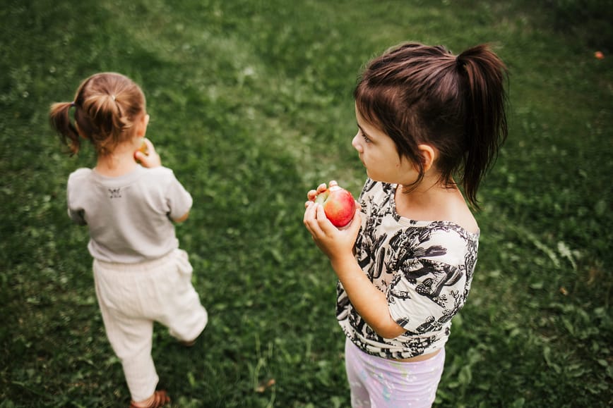 Children apple picking at Dempsey's Corner in Nova Scotia